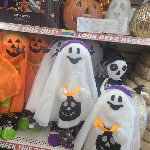 Dollar Store «Dollar Tree», reviews and photos, 2301 Cross Timbers Rd #150, Flower Mound, TX 75028, USA