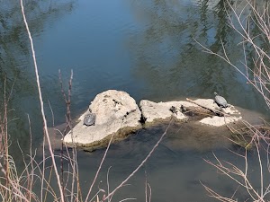Centennial Park - photo 36