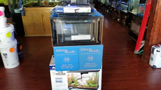 Tropical Fish Store «Aquastetics», reviews and photos, 354 E Main St, Fall River, MA 02724, USA