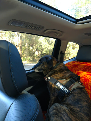 Cafe «Hillsborough State Park Poolside Cafe», reviews and photos, 15402 U.S. 301, Thonotosassa, FL 33592, USA