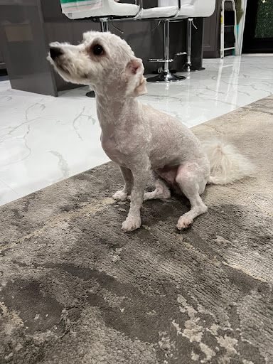 250 Hempstead Ave, Malverne, NY 11565, USA