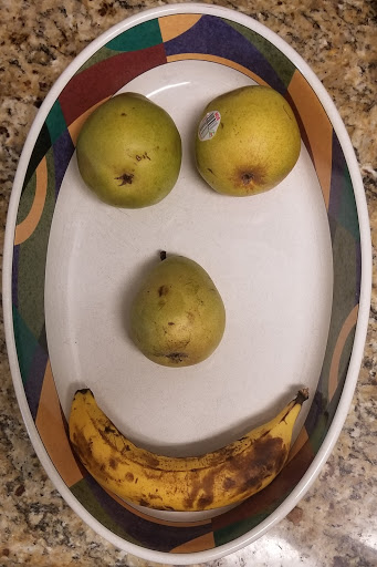 Home Goods Store «Dollar General Market», reviews and photos, 7241 FL-54, New Port Richey, FL 34653, USA