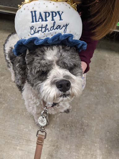 Pet Supply Store «Petco Animal Supplies», reviews and photos, 85 Godwin Ave #23, Midland Park, NJ 07432, USA