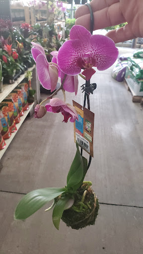 Home Improvement Store «The Home Depot», reviews and photos, 2805 US-98, Lakeland, FL 33805, USA