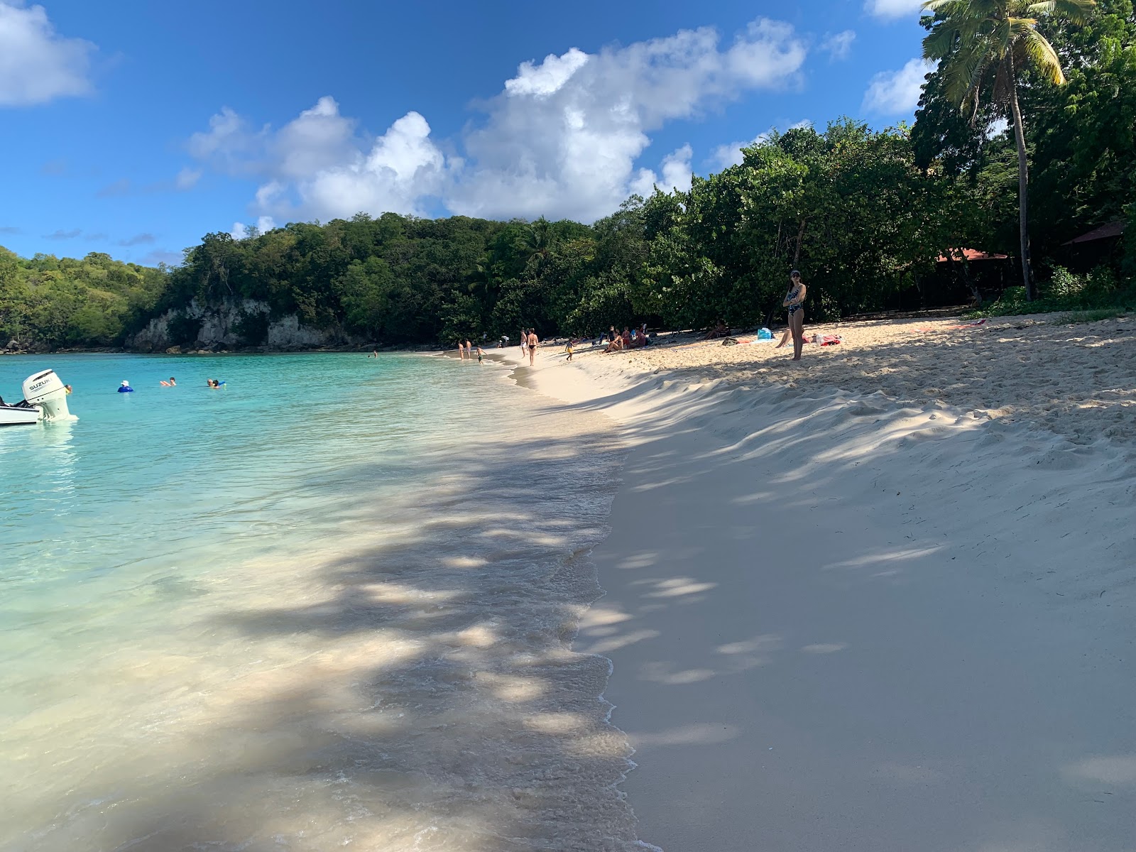 Plage Moustique的照片 野外区域