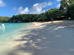Zdjęcie Plage Moustique dziki obszar