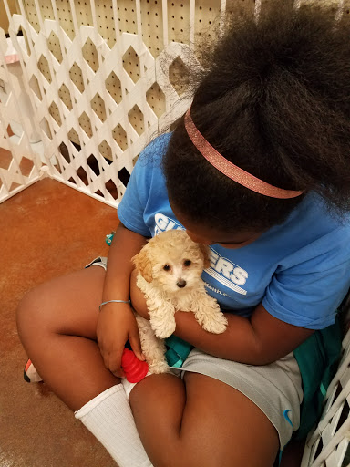 Pet Store «Fairwood Pet Center», reviews and photos, 14201 SE Petrovitsky Rd, Renton, WA 98058, USA