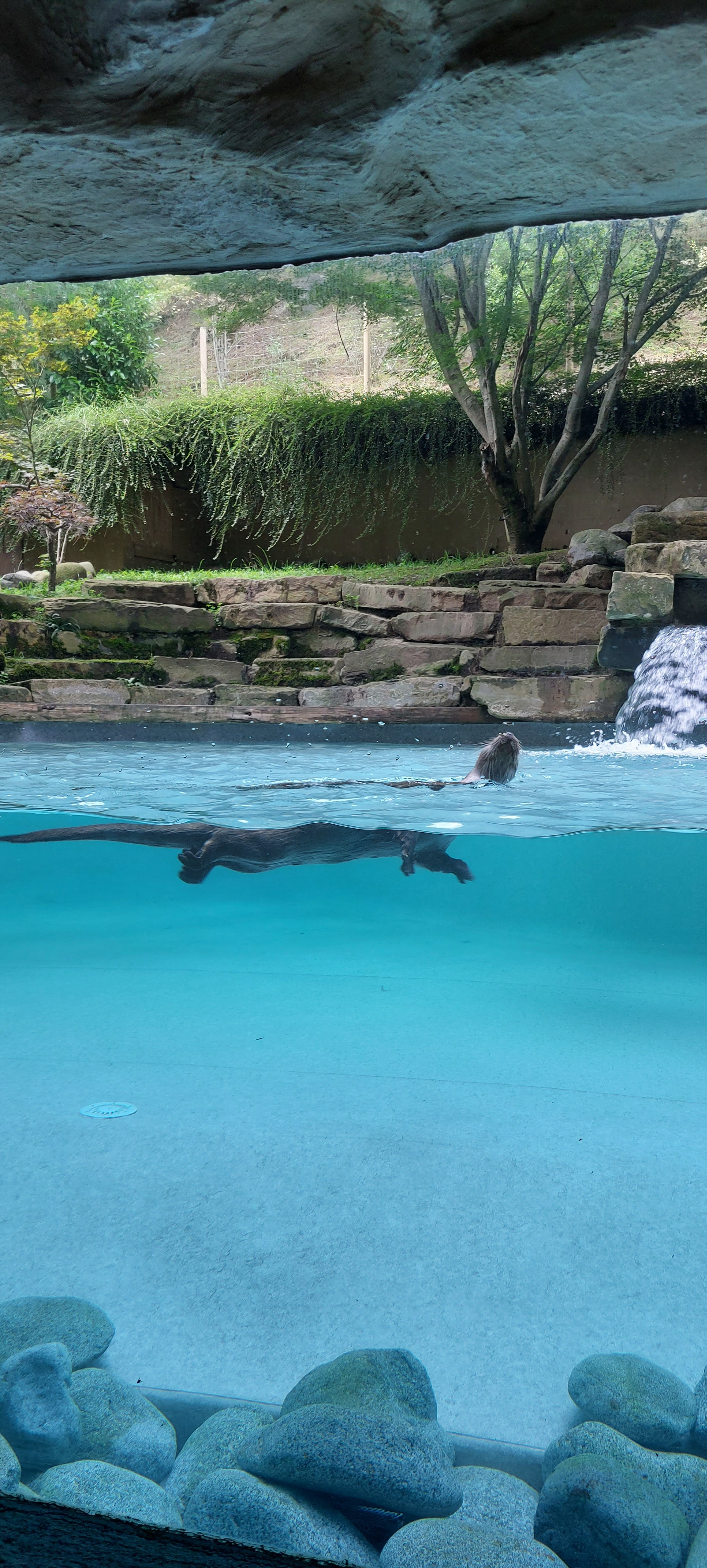 Photo n° 3 de l'avis de L.a fait le 28/07/2023 à 16:32