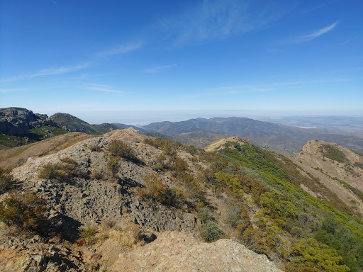 Mt Boney Peak elevation