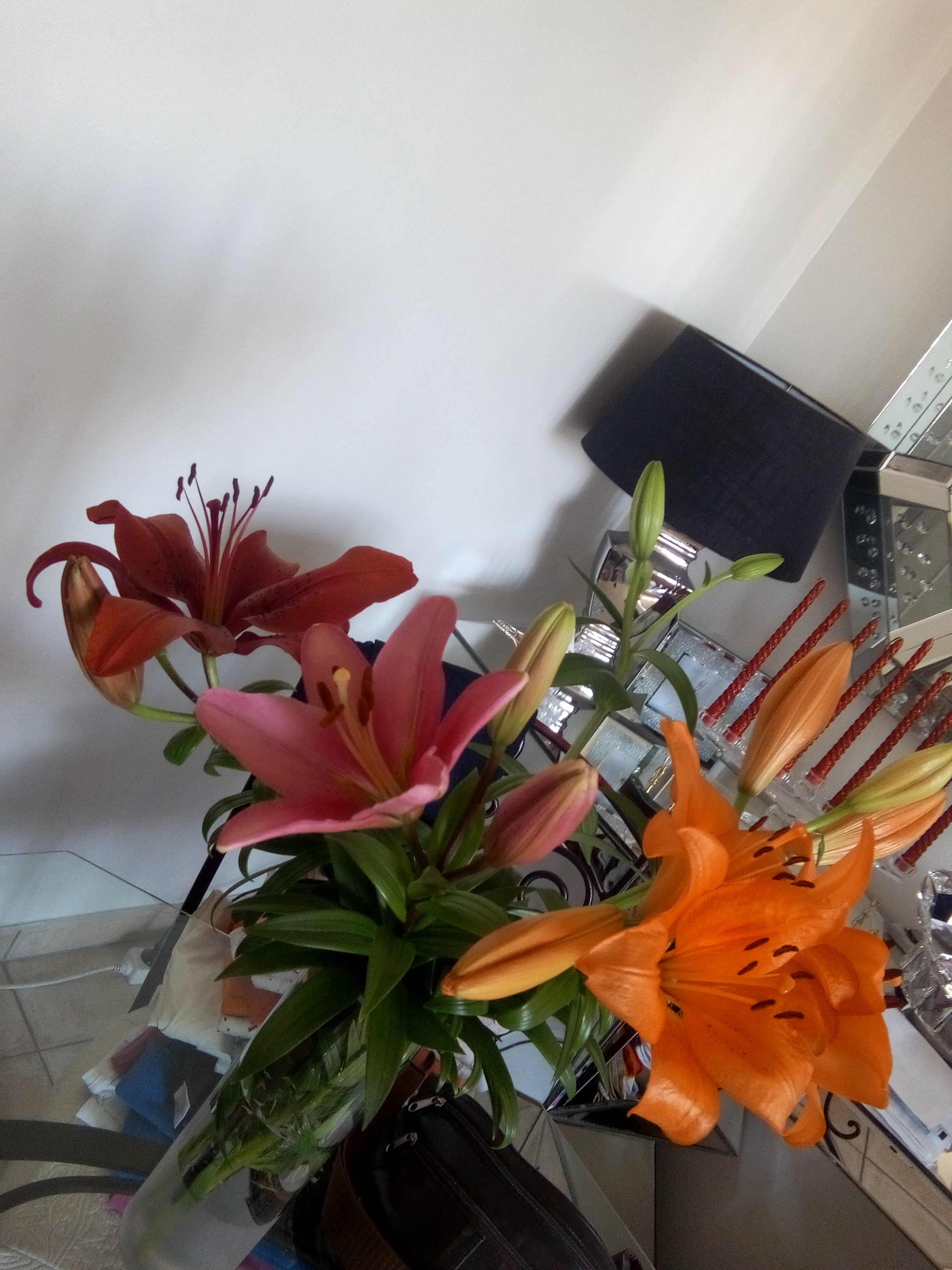 Photo n° 27 de l'avis de hélène.a fait le 05/09/2019 à 08:08