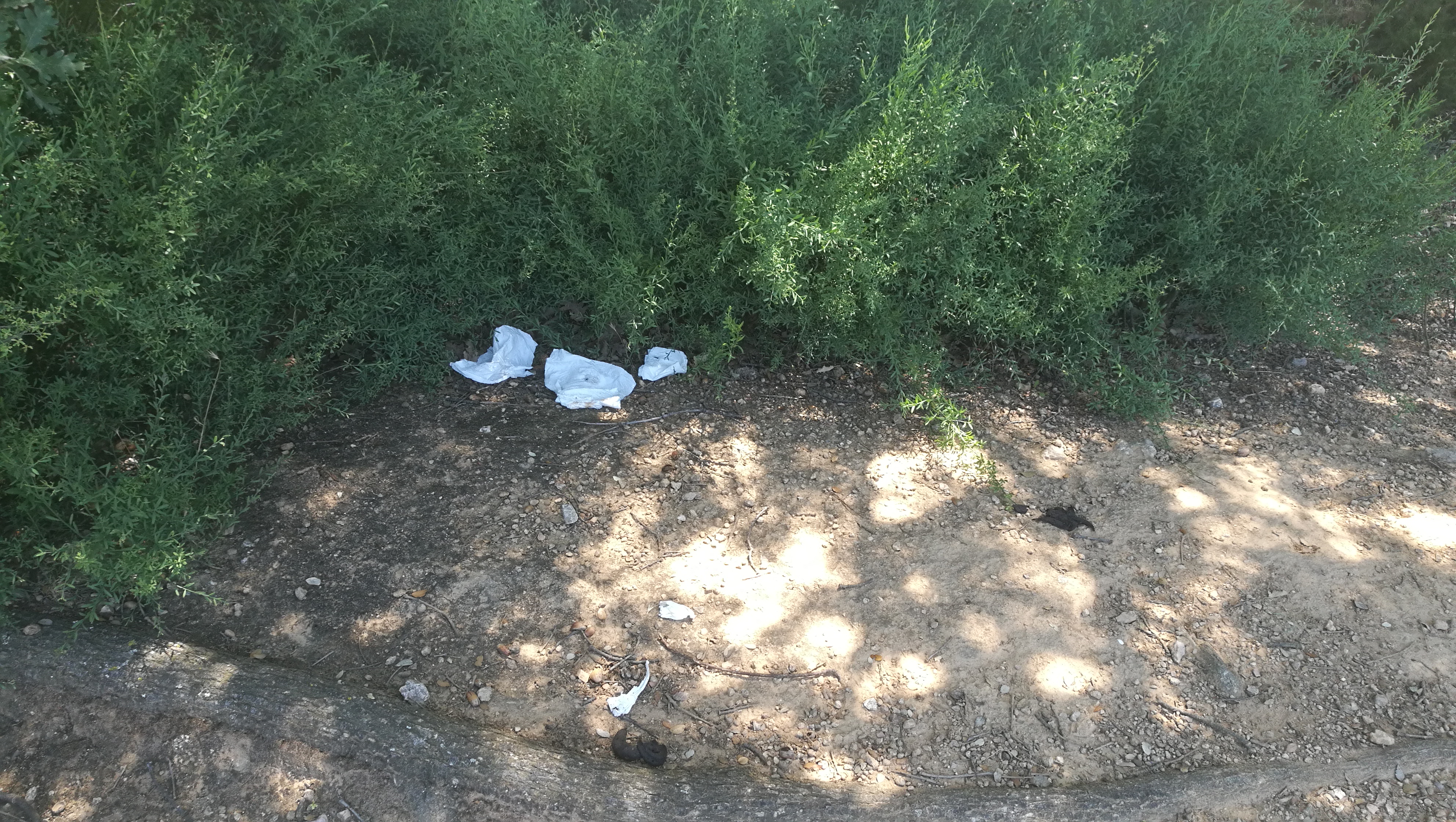Photo n° 3 de l'avis de Remy. fait le 15/06/2018 à 16:34