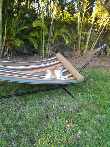 Animal Shelter «One of A Kind Pet Rescue», reviews and photos, 1929 W Market St, Akron, OH 44313, USA