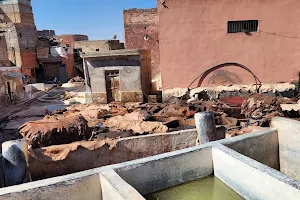 Tanneries de Marrakech image