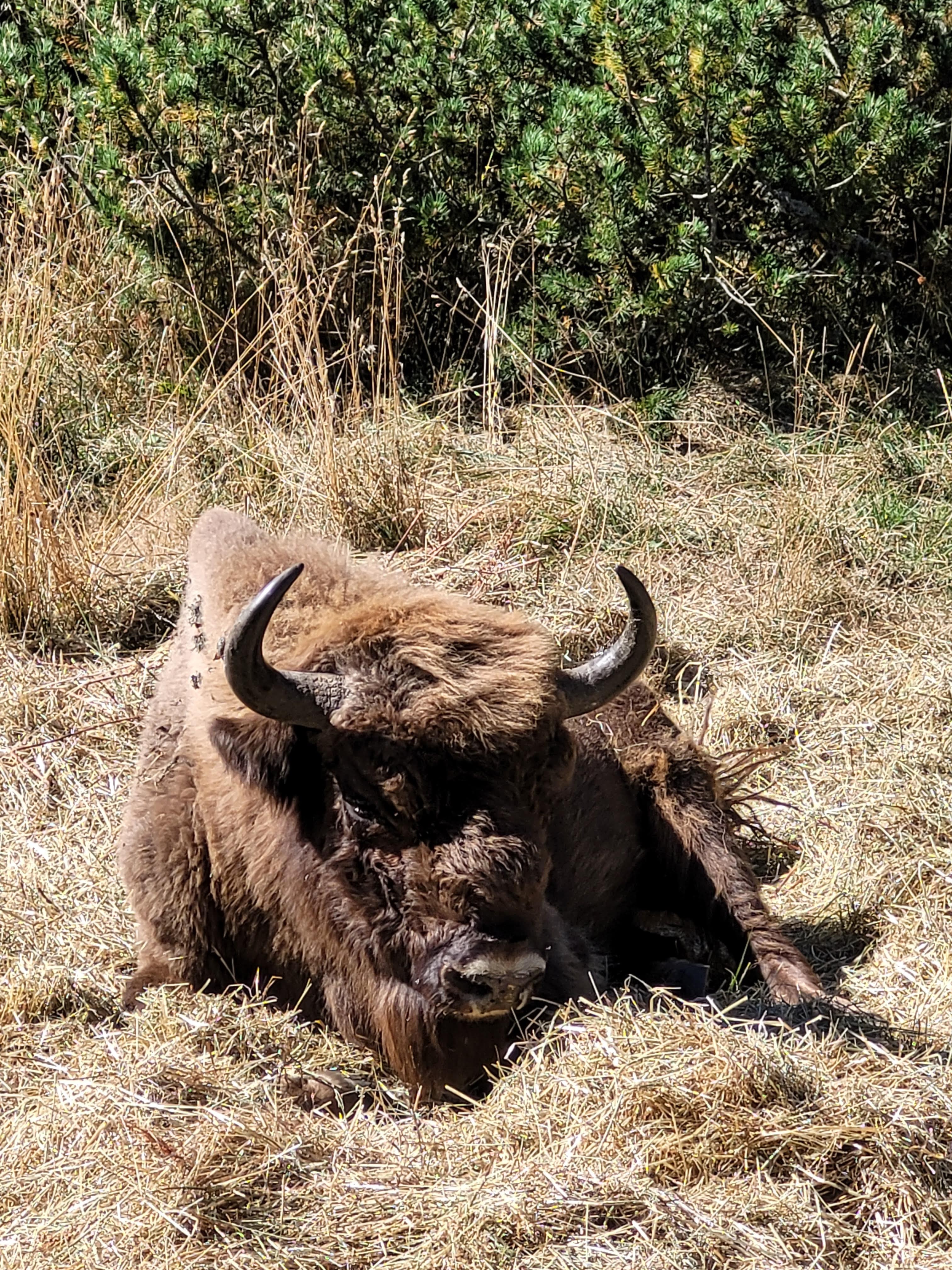 Photo n° 1 de l'avis de Cécile. fait le 12/09/2023 à 19:42
