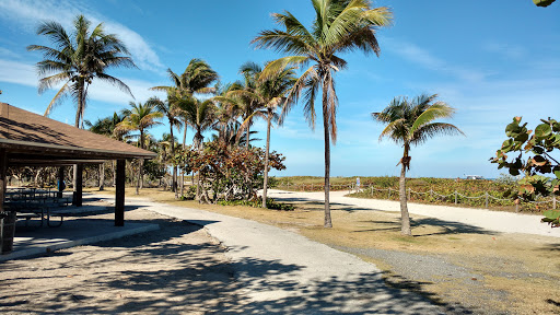 Park «North Shore Open Space Park», reviews and photos, 8328 Collins Ave, Miami Beach, FL 33141, USA