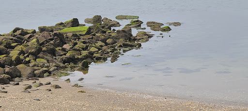 Nature Preserve «Welwyn Preserve», reviews and photos, 100 Crescent Beach Rd, Glen Cove, NY 11542, USA