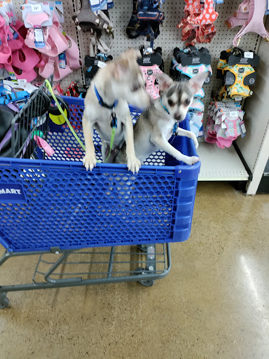 Pet Supply Store «PetSmart», reviews and photos, 4200 Derry St, Harrisburg, PA 17111, USA