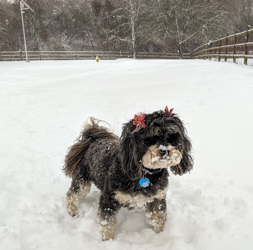 Dog Park «South Kingstown Dog Park», reviews and photos, 55 St Dominic Rd, South Kingstown, RI 02879, USA