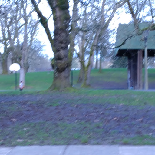 Park «Irving Park», reviews and photos, 707 NE Fremont St, Portland, OR 97212, USA