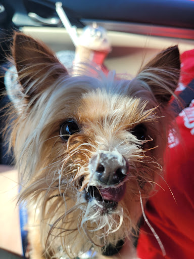 Coffee Shop «Starbucks», reviews and photos, 103 Mitchelle Dr, Hendersonville, NC 28792, USA