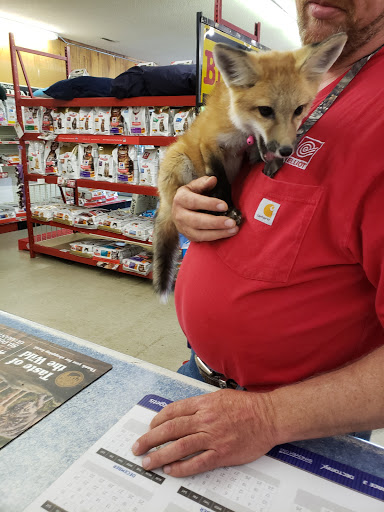 Pet Supply Store «Halbert Veterinary & Pet Supply», reviews and photos, 2675 M.L.K. Jr Blvd, Fayetteville, AR 72701, USA