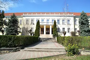 Tomori Pál College image