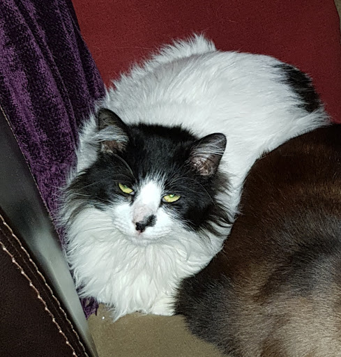 1420 US-211, Luray, VA 22835, USA