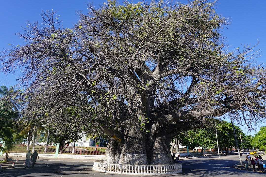 Mahajanga, Madagaskar