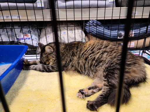 Pet Supply Store «PetSmart», reviews and photos, 2750 Carl T Jones Dr SE, Huntsville, AL 35802, USA