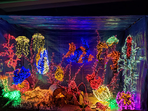 Park «Wilburton Hill Park», reviews and photos, 12400 Main St, Bellevue, WA 98005, USA