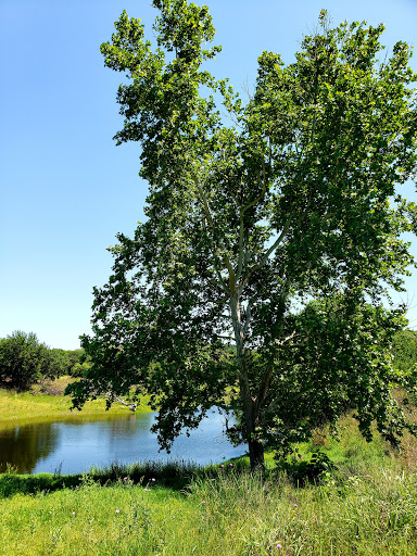 Nature Preserve «Joshua Springs Park and Preserve», reviews and photos, 716 Farm to Market 289, Comfort, TX 78013, USA