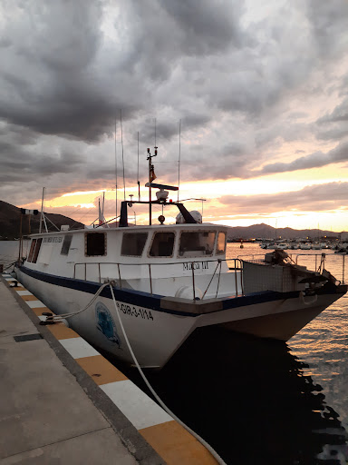 Cips Dive, Instructor de buceo en El Port de la Selva,Girona
