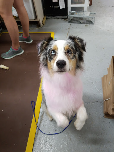 Pet Store «Teske Pet & Garden», reviews and photos, 2423 16th St, Moline, IL 61265, USA