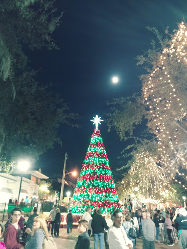 Gift Shop «Whispering Winds - A Happy Little Gift Shop», reviews and photos, 439 N Donnelly St, Mt Dora, FL 32757, USA