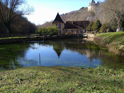Gîte du Moulin de la Roque à Castels et Bézenac