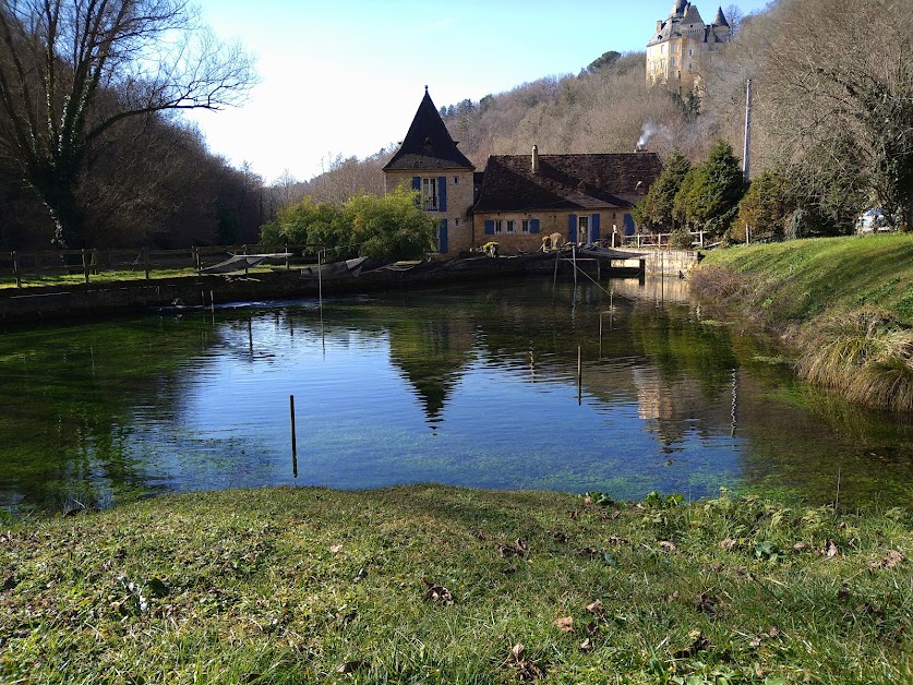 Gîte du Moulin de la Roque à Castels et Bézenac