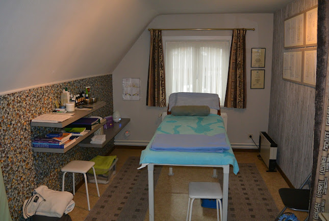 Shiatsu-& Energietherapie - Relax-Massage - Brugge