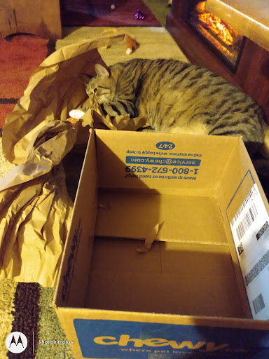 Copy Shop «Copy Cats», reviews and photos, 1567 Edgewater St NW, Salem, OR 97304, USA