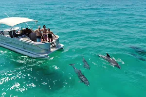 Dolphin Family Tours LLC image