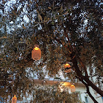 Photo n°1 de l'avis de samantha.e fait le 25/08/2020 à 20:58 sur le  Vulcano Village à Castro