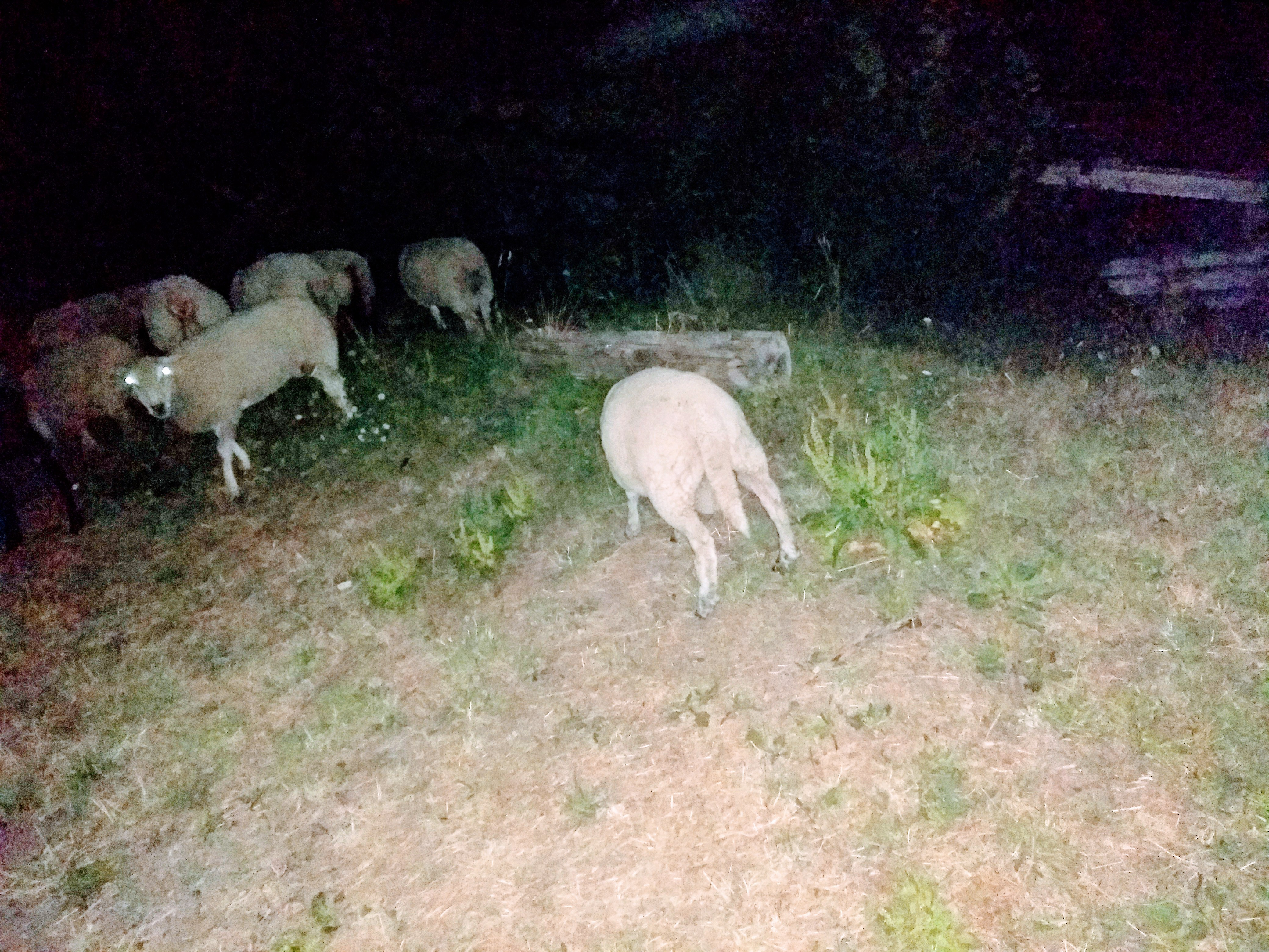 Photo n° 2 de l'avis de Philippe.i fait le 28/07/2018 à 15:10