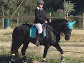 Equin'spiration Soins chevaux Maurens