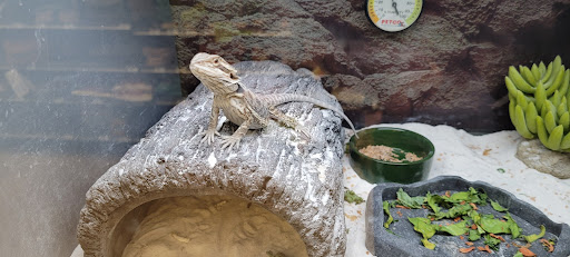 Pet Supply Store «Petco Animal Supplies», reviews and photos, 1052 Williams Reserve Blvd, Wadsworth, OH 44281, USA