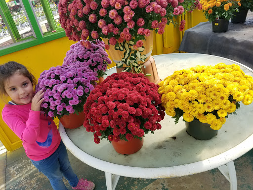 Florist «Dutch & Olgas Greenhouse», reviews and photos, 1285 NJ-36, Hazlet, NJ 07730, USA