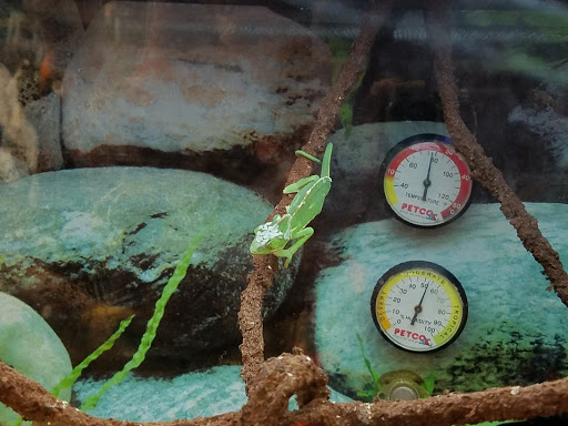 Pet Supply Store «Petco Animal Supplies», reviews and photos, 1290 S Amity Rd, Conway, AR 72032, USA