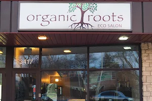 Organic Roots Eco Salon image