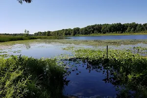 Rose Oaks County Park image