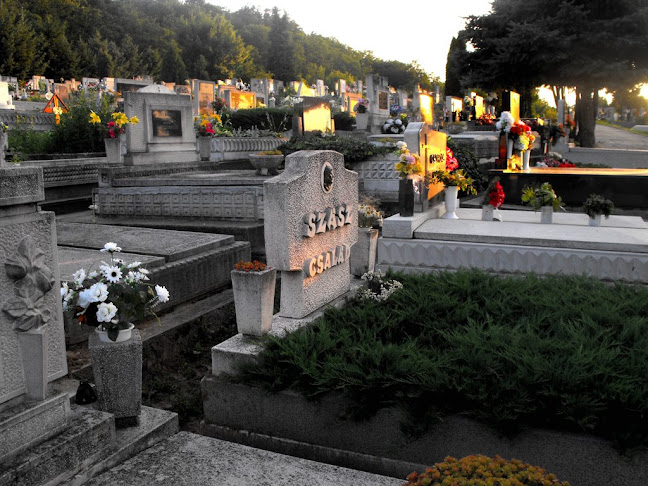 Kazincbarcikai temető - Temetkezési vállalkozás