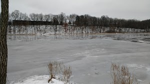 Asylum Lake Preserve - photo 71