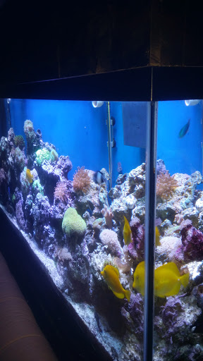 Aquarium «Aquatica», reviews and photos, 800 Clanton Rd H, Charlotte, NC 28117, USA